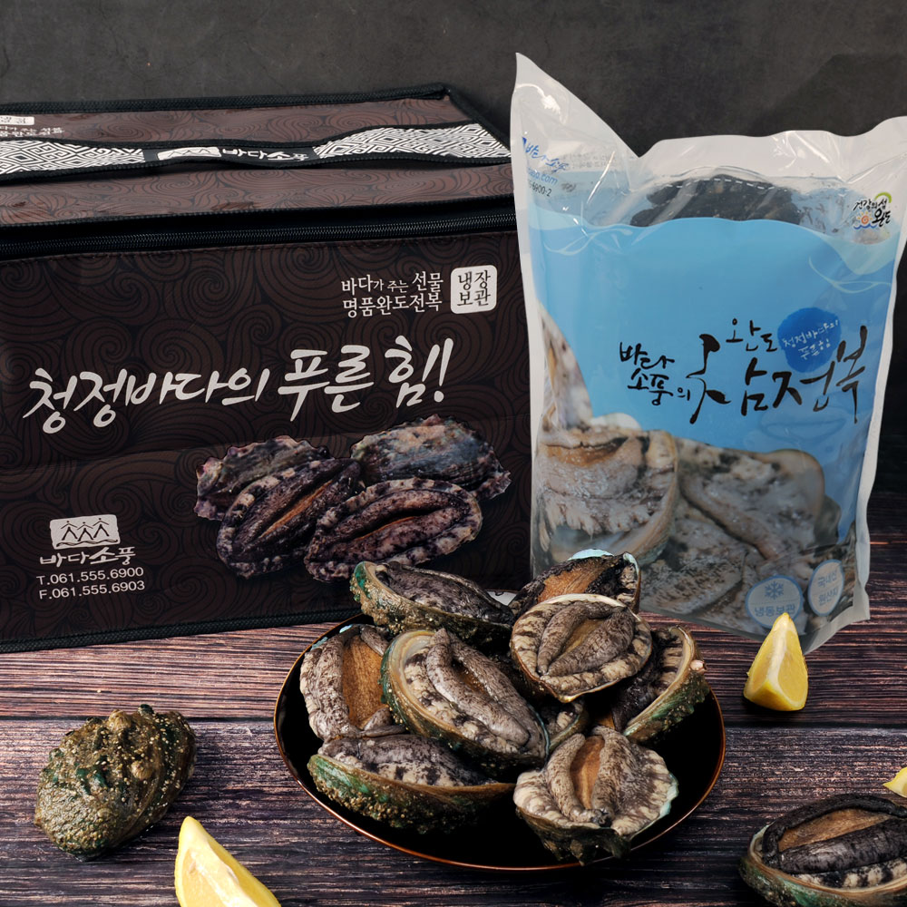 완도산지직송 활전복 선물세트 1kg